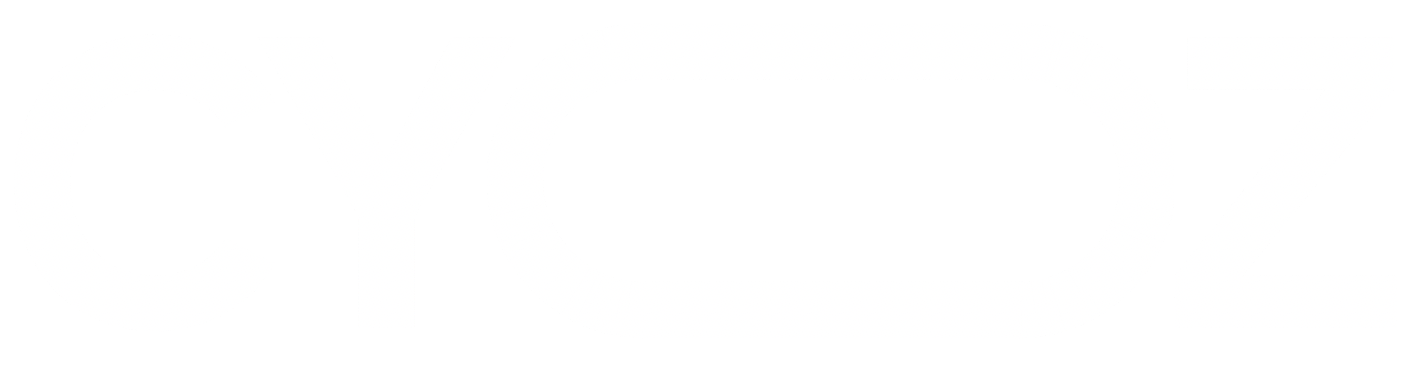 Your Partner in Business and Technology